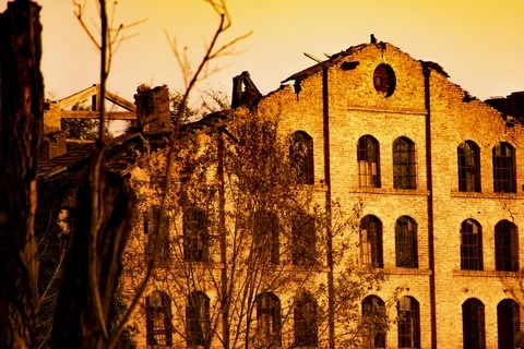 Yellow land Stock Footage 122447816