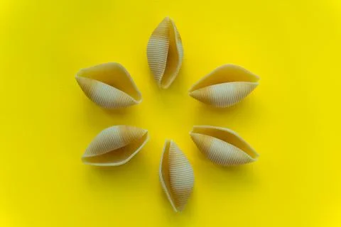 Yellow large pasta in the shape of shells on a yellow background Stock Photos