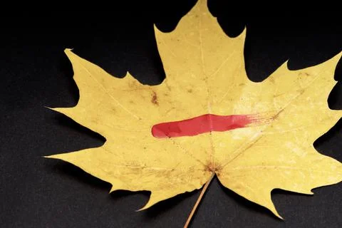 Yellow leaf on black background with red mark Stock Photos