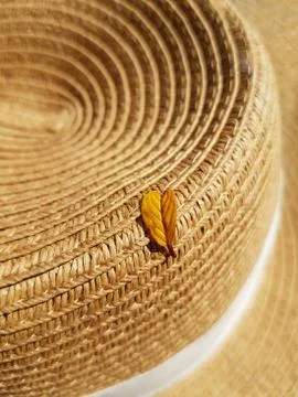 A yellow leaf fallen from a tree lies on a straw hat. Stock Photos