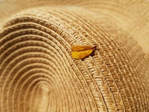 A yellow leaf fallen from a tree lies on a straw hat. Stock Photos