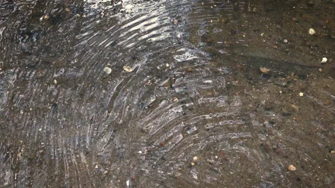 Yellow leaf falls into the water of the river Stock Footage 118536668