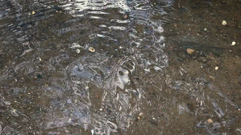 Yellow leaf falls into the water of the river Stock Footage 118536910