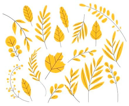 Yellow leaf in a flat style. Set of autumn leaves, simple flat. Isolated on Stock Illustration