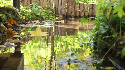 A yellow leaf floats down the stream. maple leaves fall into the water. autumn Stock Footage 168942756