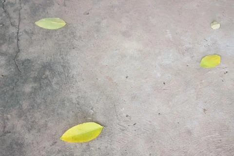 Yellow leaf ground with cement Stock Photos