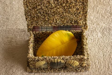 A yellow leaf lies in a box of shells Stock Photos
