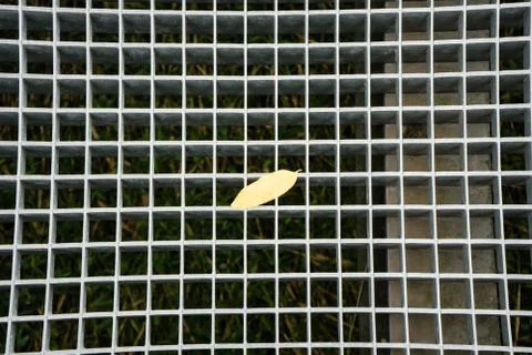 Yellow leaf on metal grid Stock Photos