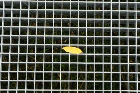 Yellow leaf on metal grid Stock Photos