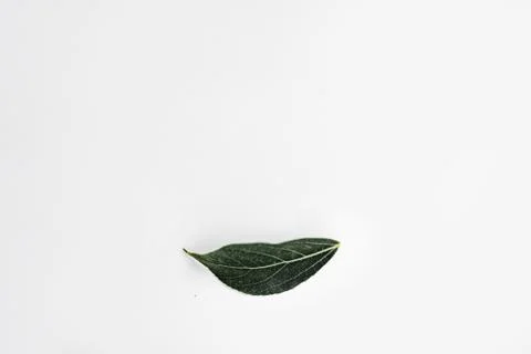 Yellow leaf in shape of lips. Organic makeup concept. Spring smile Stock Photos