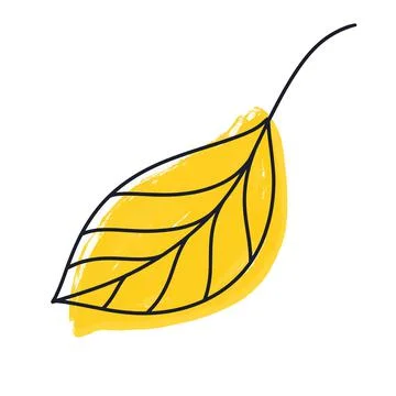 Yellow leaf from a tree, doodle Illustrazione stock