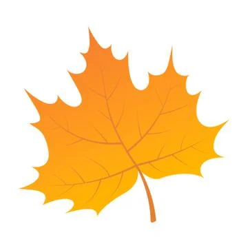 Yellow leaf of tree icon, isometric style Stock Illustration