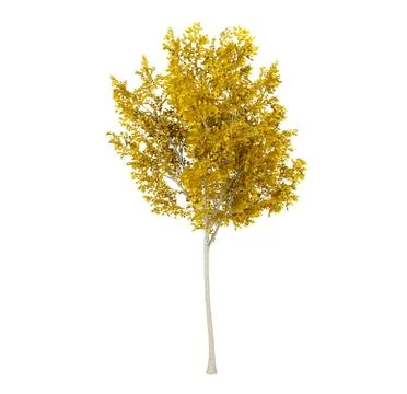 Yellow leaf tree isolated on white background, 3D rendering Illustrazione stock
