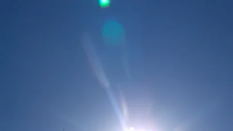 Yellow leafs falling down in front of blue sky and sunshine in slowmotion Stock Footage 98700654