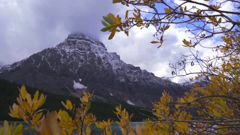 Yellow leaves and view of Mountains with snow peaks and woods Stock Footage 197043259