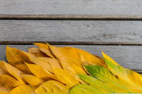 Yellow leaves autumn leaf  over wooden background pattern Stock Photos