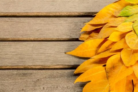 Yellow leaves autumn leaf  over wooden vintage background Stock-Fotos