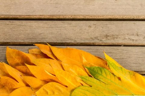Yellow leaves autumn leaf  over wooden vintage background Stock-Fotos