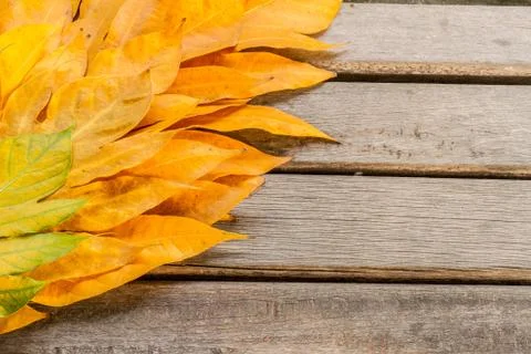 Yellow leaves autumn leaf on wooden background pattern Stock Photos