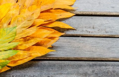 Yellow leaves autumn leaf on wooden background pattern Stock Photos