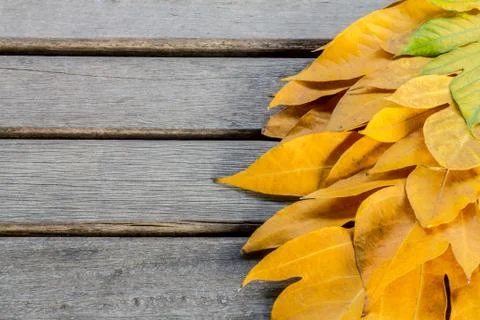 Yellow leaves autumn leaf on wooden background pattern Fotos de archivo