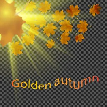 Yellow leaves fall down in the sun. Transparent background Stock Illustration