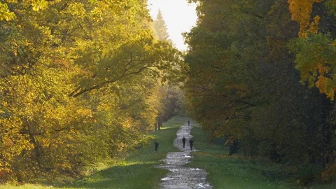 Yellow leaves fall from trees in the Park, people run along the road Stock Footage 119883949
