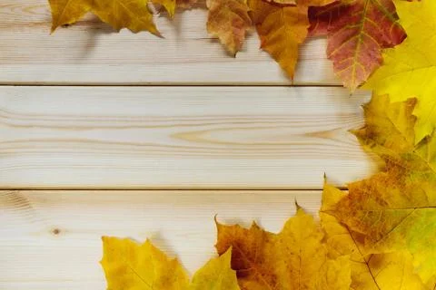 Yellow leaves frame Stock Photos