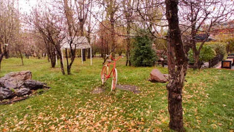 Yellow leaves on the grass. decorative monuments Stock Footage 218128304
