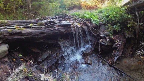Yellow Leaves in a Mountain Stream. Old Log in Clear Water Stock Footage 105157186