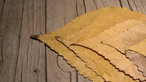 Yellow leaves pattern, Nature background, Sliding camera Stock Footage 118861936