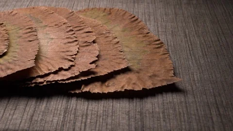 Yellow leaves pattern, Nature background, Sliding camera Video stock 118863343