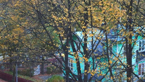 Yellow leaves on the tree slowly blowing in the wind in a village Stock Footage 180055067