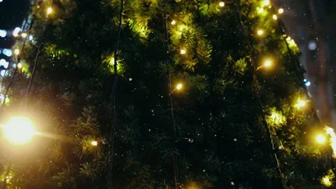 Yellow LED lights on a Christmas tree decorated outside in the evening. Stock Footage 145201932