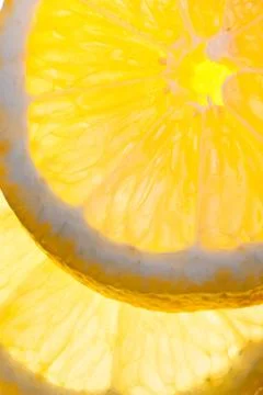 Yellow lemon fruit slice Stock Photos