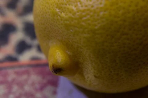 Yellow lemon on the kitchen table. Stock Photos