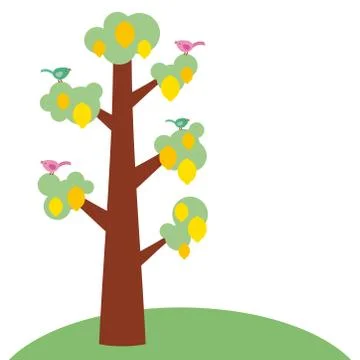 Yellow lemon large tree with a thick trunk, green leaves and ripe fruits, pou Stock Illustration