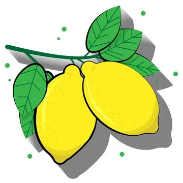 Yellow lemon with leaves. Stock Illustration