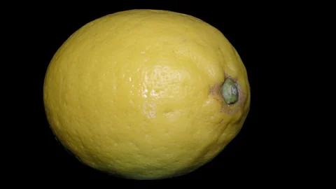 Yellow Lemon – Macro, Close up View on a Black Background Stock Footage 90219848