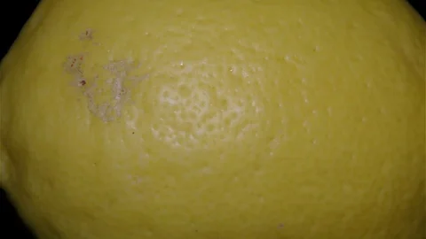 Yellow Lemon – Macro, Close up View on a Black Background 動画素材 90219859