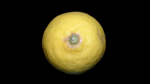 Yellow Lemon – Macro, Close up View on a Black Background Stock Footage 90219960