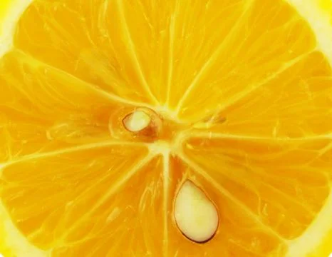 Yellow lemon Stock Photos