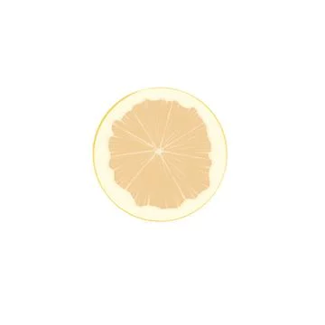 Yellow lemon slice in color Illustrazione stock