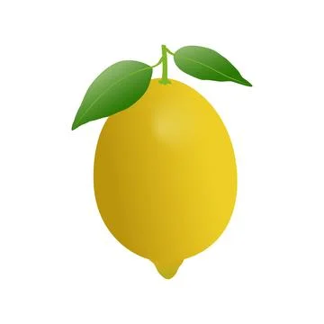 Yellow lemon vector design Stock Illustration