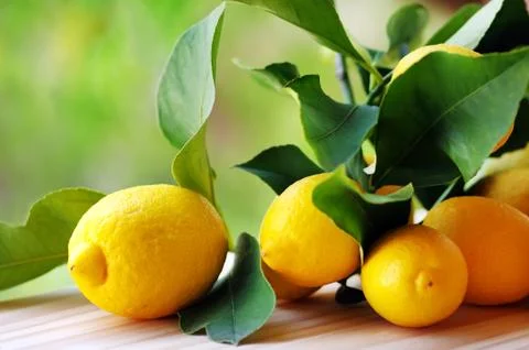 Yellow lemons on table Stock Photos