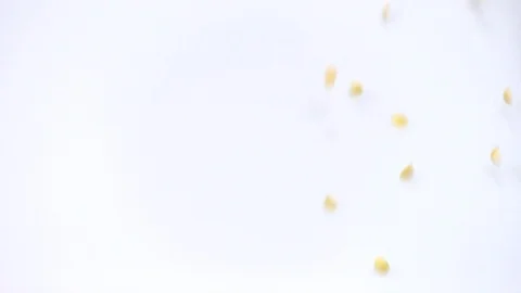 Yellow lentils on white background falling from top and filling up frame. slo Stock Footage 108106227