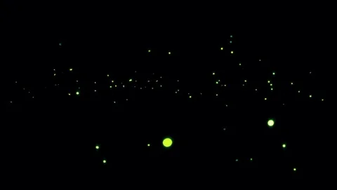 Yellow light from Fireflies flying in the black background.  Stock Footage 129895033