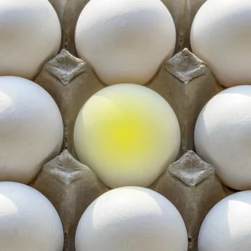 Yellow light in one egg among many white eggs.Creative concept photography. Stock Photos