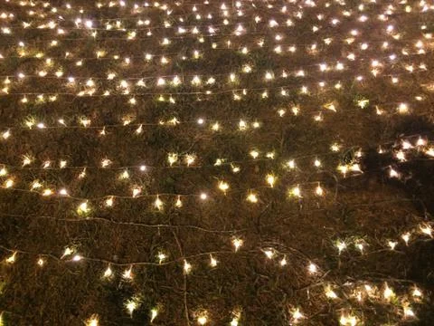 Yellow light placed on the grass background Stock Photos