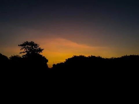 Yellow light in sunset time 스톡 사진